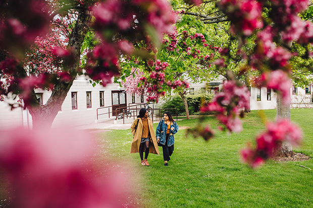 Sudents walking on campus